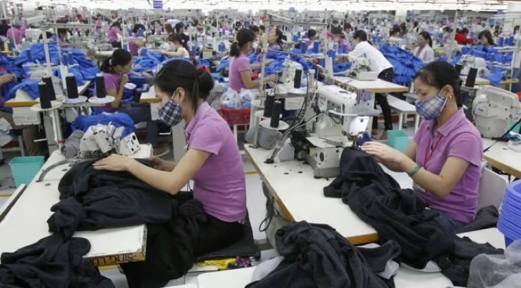 Fabricantes