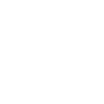 TikTok Shop